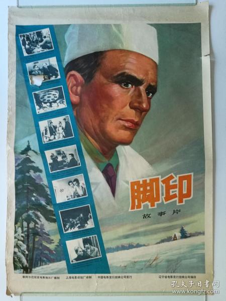 伍珀塔尔大学硕士毕业证
